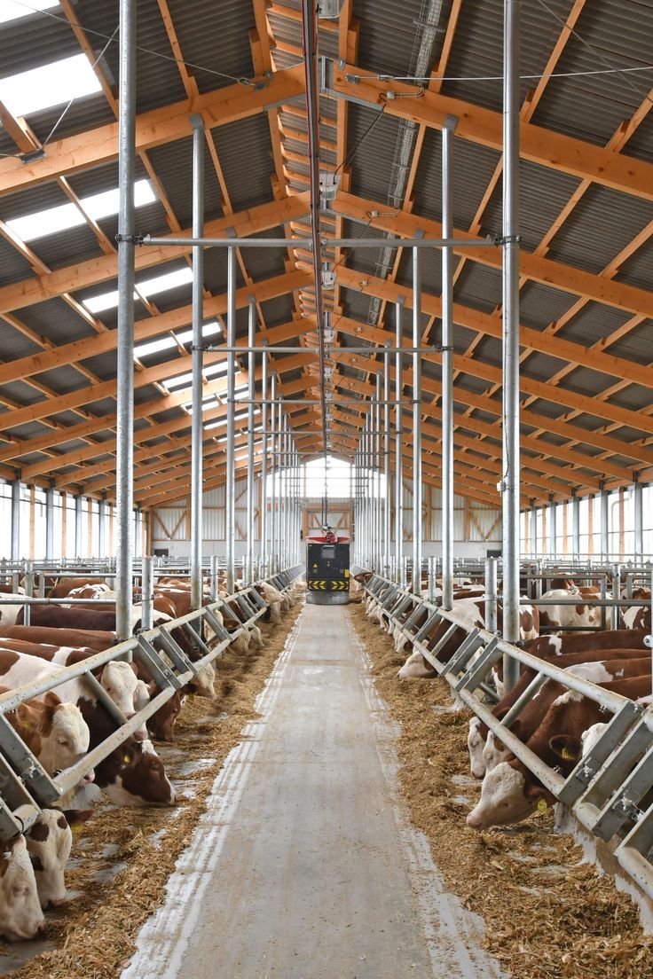 تست طرح مشاوره