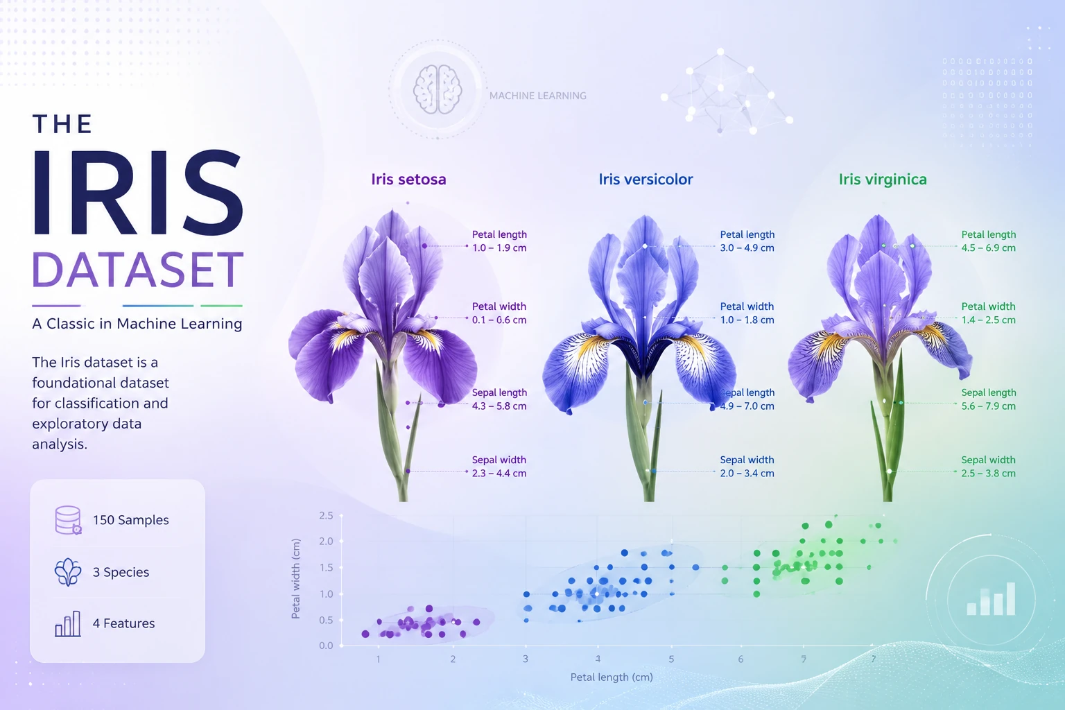 دانلود دیتاست Iris برای طبقه‌بندی چندکلاسه در یادگیری ماشین